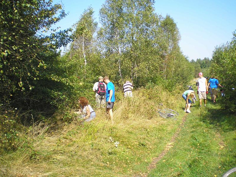 rowtras 031.jpg - c.d.